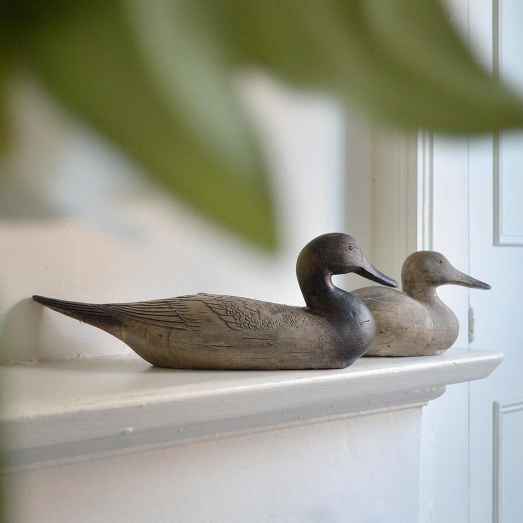 Decorative Decoy Ducks