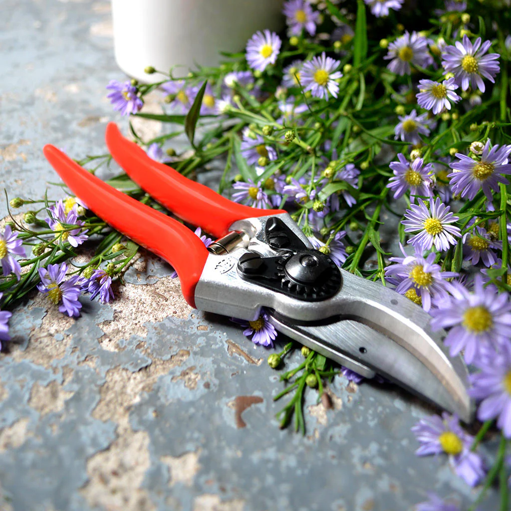 Felco Model 2 Original Secateurs