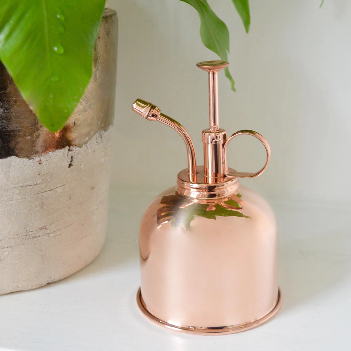 Haws Indoor Mist Sprayer