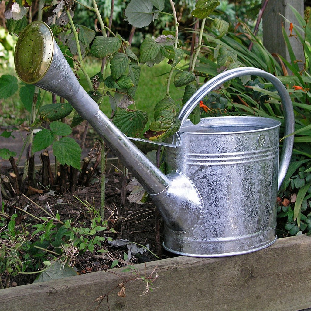 Galvanised Watering Can