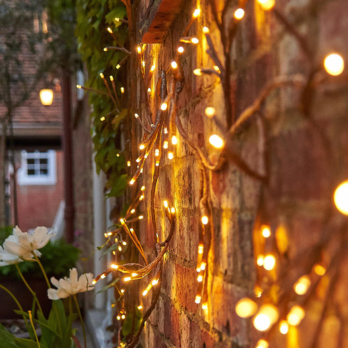 Ivy Outdoor Solar/Mains Light Chain - Image 3