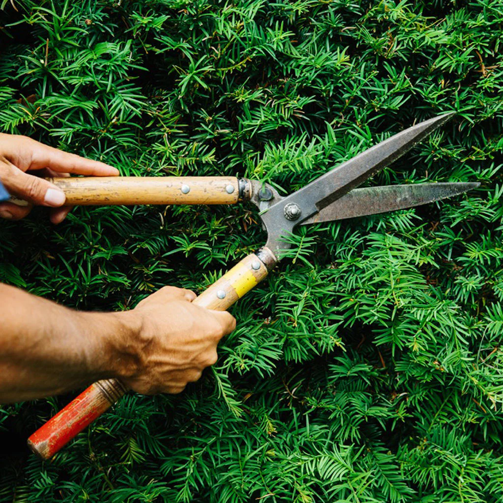 Okatsune Japanese Pruning Shears - Image 2