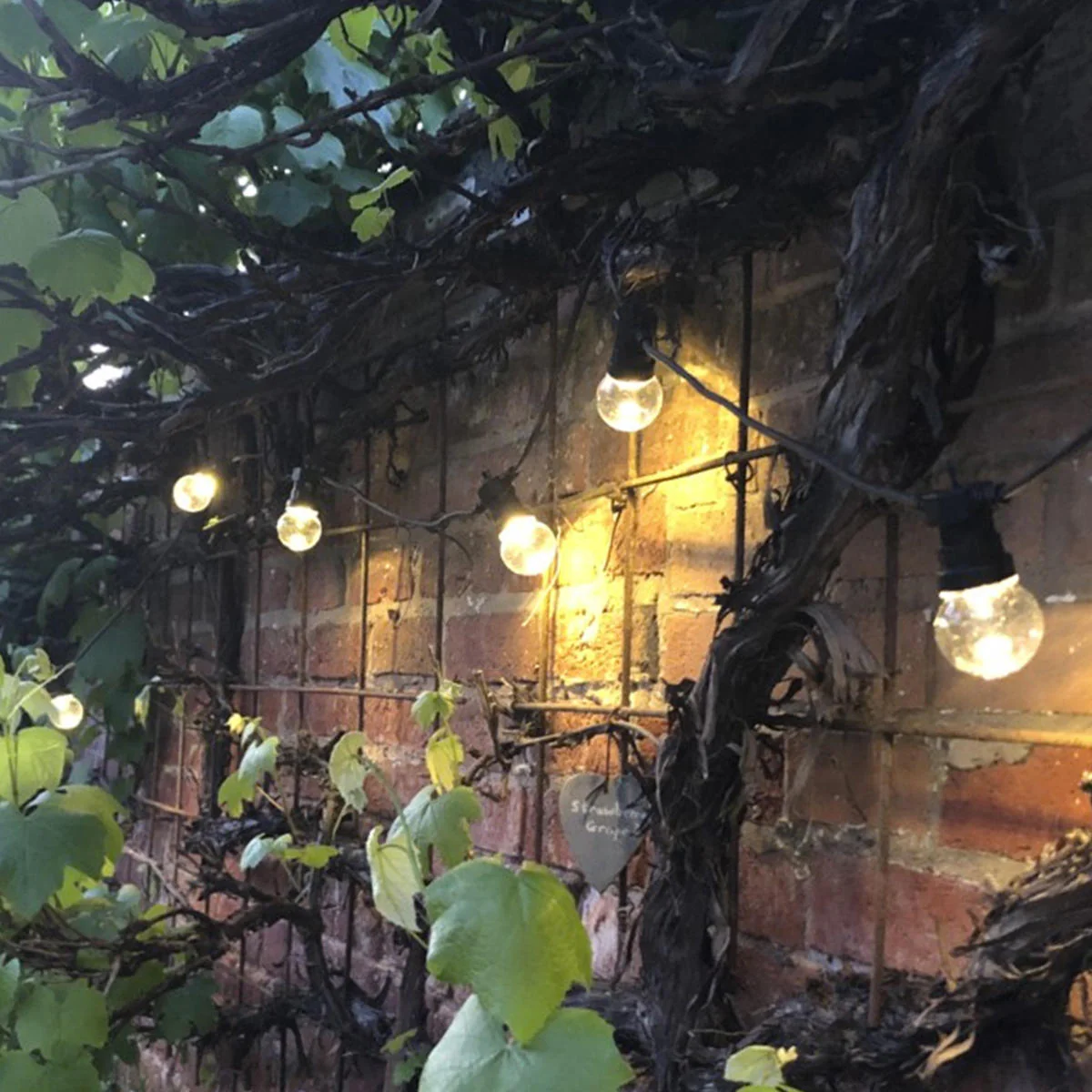 Outdoor Extendable Clear LED Festoon Lights Sets