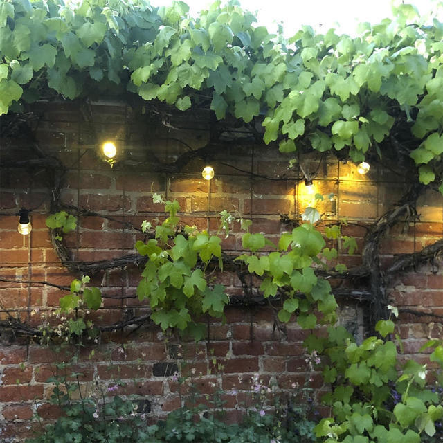Outdoor Single Length LED Warm White Clear Festoon Lights