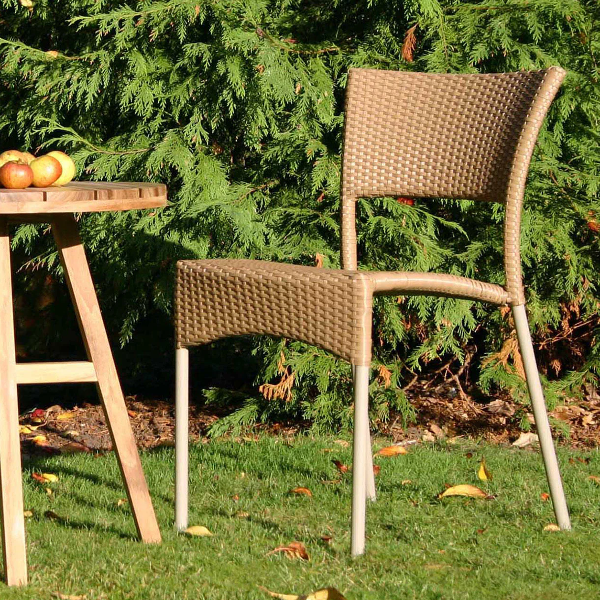 Rollo Stacking Outdoor Dining Chairs