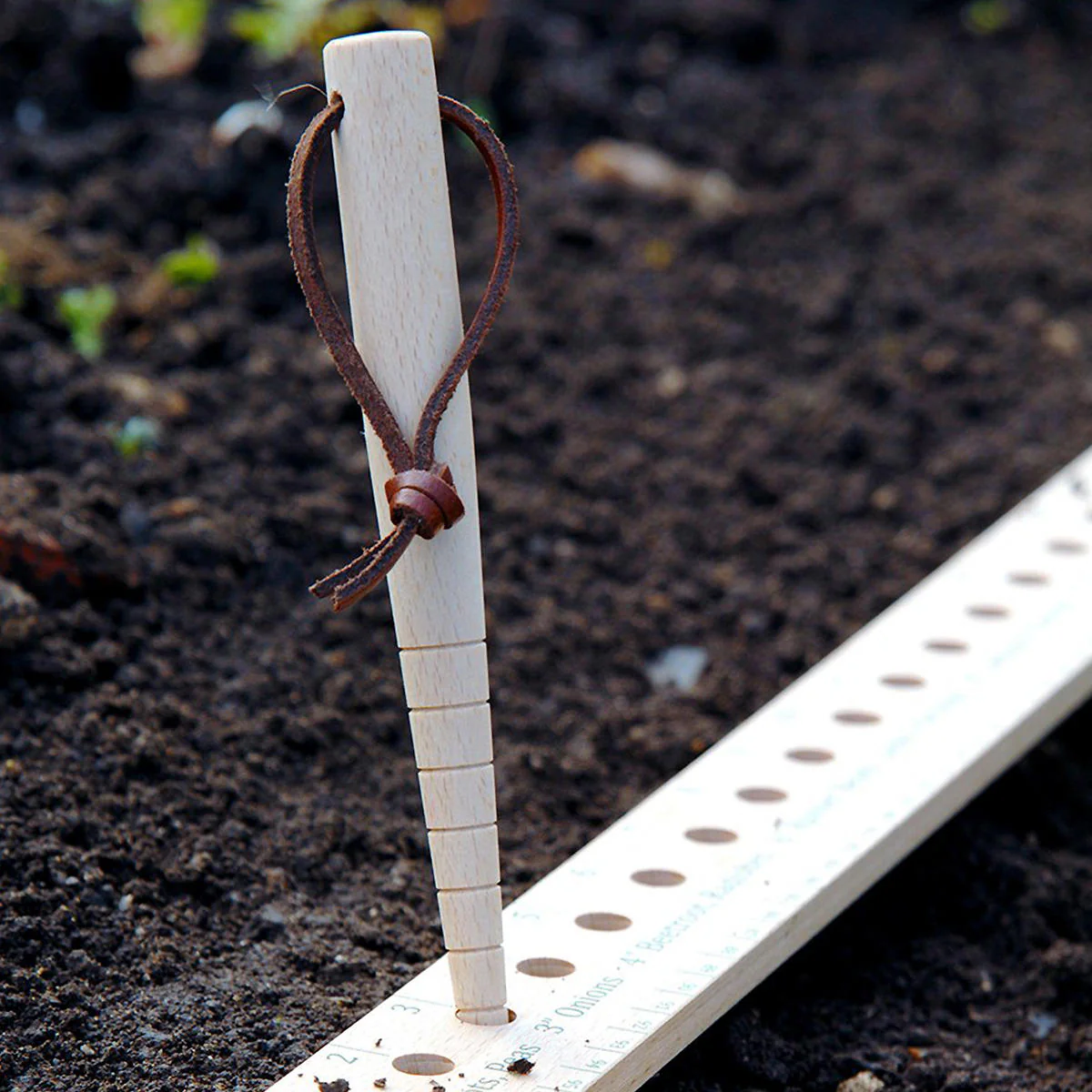Seed & Plant Dibblet